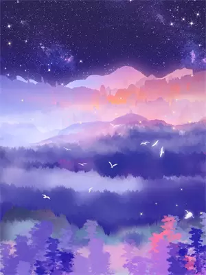 错过星光传媒