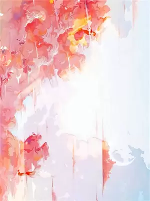 第二次初婚结局