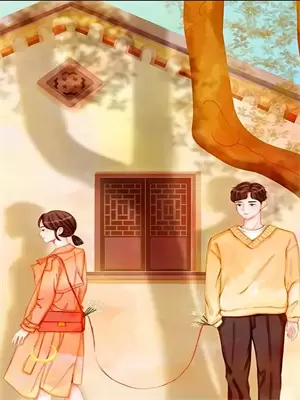 中年女性的焦虑与应对