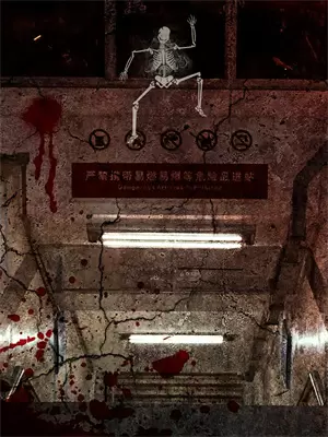 冷宫逆袭直播解说