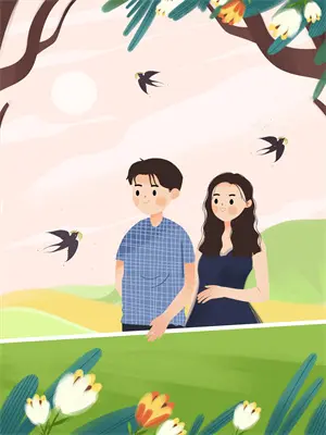 探索图形讲解视频