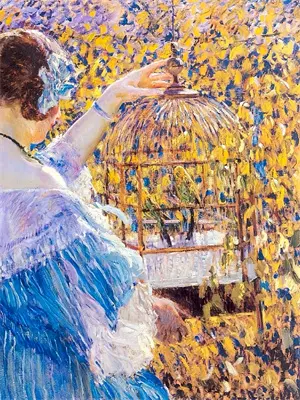 妻子为白月光去远赴西藏支教